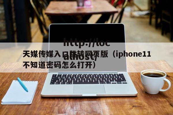 天媒传媒入口跳转网页版（iphone11不知道密码怎么打开）